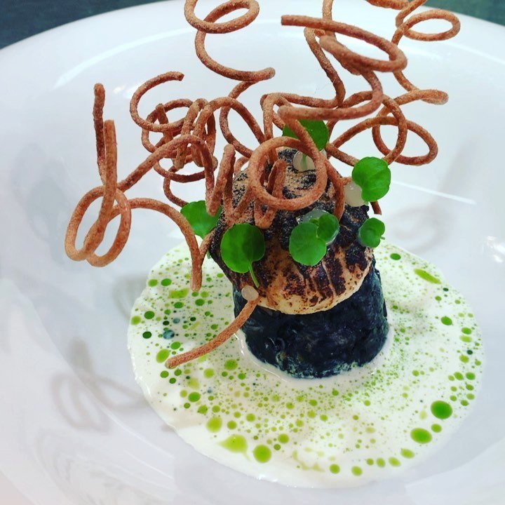 Absztrakt harcsa :) @textura_restaurant @borkonyha #abstract #food #foodporn #michelinguide #michelinstar #michelinrestaurant #szinesenfozok #restaurant #catfish #chef #chefstalk
